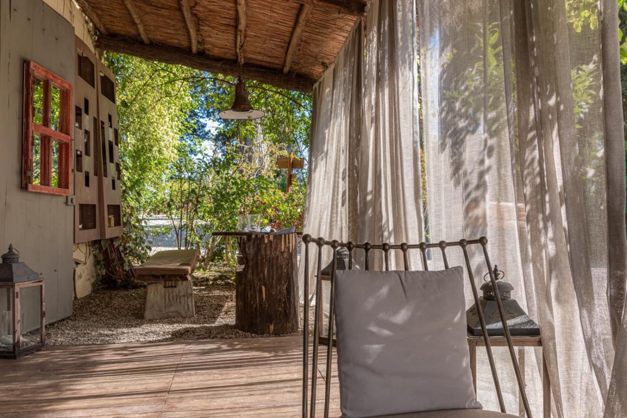 Farm stay La Striscia Wine