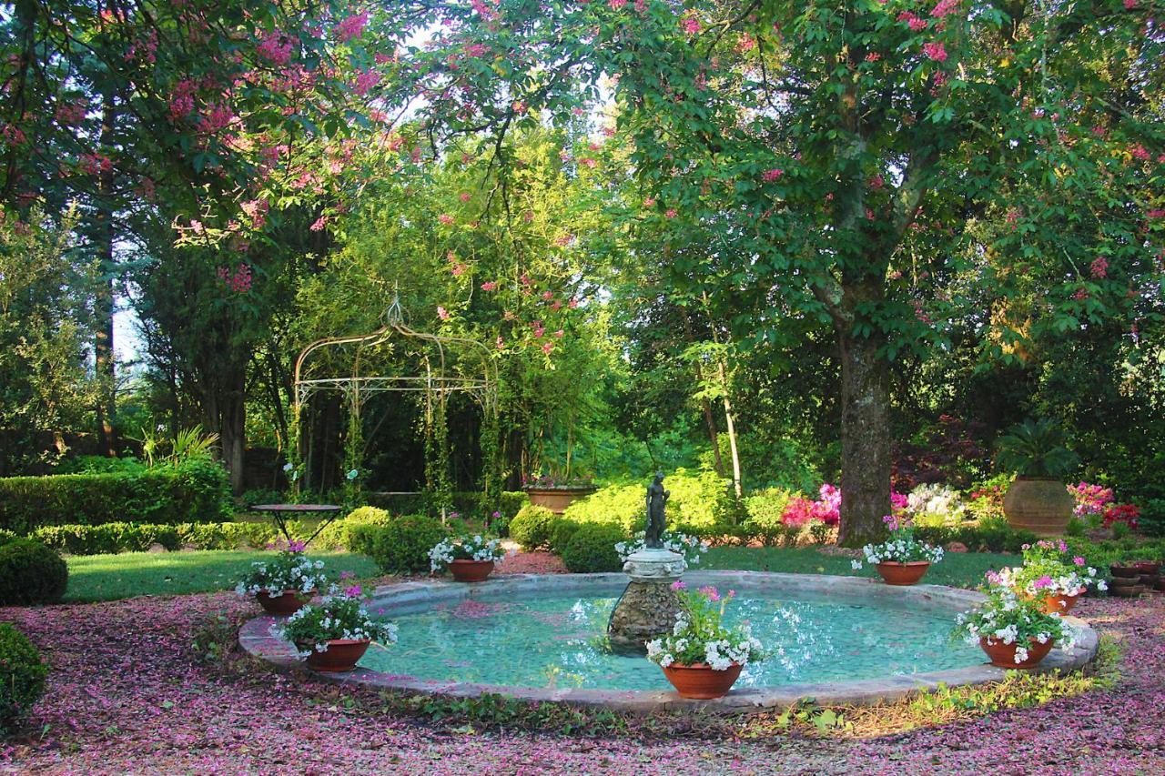 La Striscia Wine Farm stay Arezzo